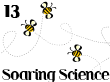Soaring Science program at JDC 13